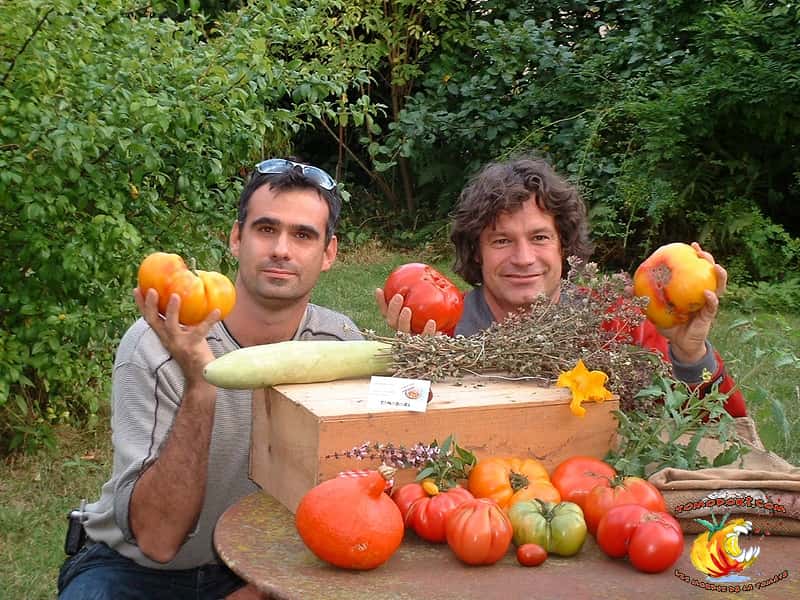 Lionel et Laurent participent au site Tomodori, consacré aux différentes familles de tomates, notamment anciennes. © <a href="http://tomodori.com/" target="_blank">Tomodori</a>