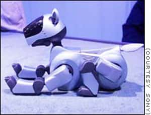 Au Japon, le robot-chien Aibo fait presque partie de la famille. © Aibo, Sony