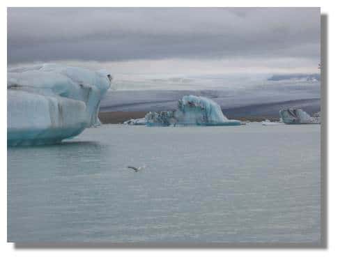 Iceberg - Islande Copyright Photo  Daniel Brindeau