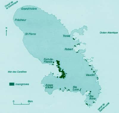 Localisation des mangroves de la Martinique (d'après Portecop, 1979) - Tous droits de reproduction interdit