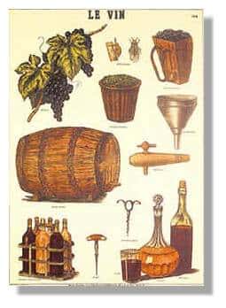 Illustration de la vigne... au verre de vin.