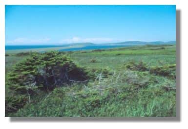 Paysage au sud du village de Miquelon &copy; Francis Muller