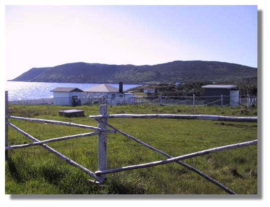La magnifique île de Langlade située entre St Pierre et Miquelon est un lieu de vacances pour de nombreux habitants de l'archipel ; on y chasse notamment le Cerf de Virginie. &copy; C. Marciniak 