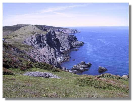 Les côtes déchirées du Cap de Miquelon ; cette île située au Nord de l'archipel, beaucoup plus grande que l'île de St Pierre, est pourtant beaucoup moins peuplée (Miquelon compte environ 700 habitants). &copy; C. Marciniak 