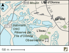 La réserve de l'Ile d'Olonne