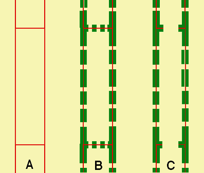 Figure 5. Différenciation d'un élément du bois<br /><em>A, jeune file de cellules</em> ligneuses non différenciées. Les cellules sont vivantes et leur paroi primaire est composée de pectines et de cellulose (en rouge). <br /><em>B, file de trachéides différenciées </em>: les cellules ont secrété une nouvelle substance, la lignine (en vert). Cette paroi secondaire épaisse n'est pas complète et laisse par endroits des plages fines composées seulement de la paroi primaire. Ces ponctuations permettent le passage de la sève par diffusion.<br /><em>C, un vaisseau.</em> Les parois terminales des éléments sont perforées, ce qui améliore considérablement la circulation. <br />&copy; Photo R. Prat 