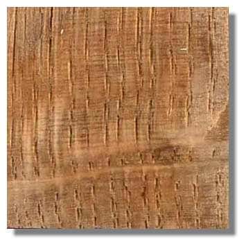 <br />Figure 17. Coupe longitudinale tangentielle de bois de chêne. Les gros vaisseaux verticaux du bois de printemps des différents cernes apparaissent nettement. Ils sont discontinus car la section n'est pas parfaitement longitudinale. Les rayons du bois apparaissent sous forme de stries perpendiculaires aux vaisseaux (champs de croisement). &copy; Photo R. Prat 