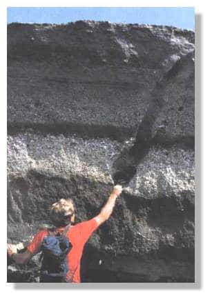 Vision d'ensemble des dépôts de l'éruption de 79 à Terzino. La personne a la main posée sur le paléosol, dans la trace d'un tronc d'arbre. Le premier lit marron clair fait environ cinq centimètres et correspond à l'épisode phréatomagmatique par lequel débuta l'éruption Cliché Sigurdsson et al, 1985