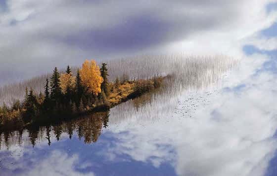 États-Unis, Alaska. Région d'Anchorage. Glacier Knick. Petits îlots en automne. © Photo Yann Arthus-Bertrand - Tous droits réservés 