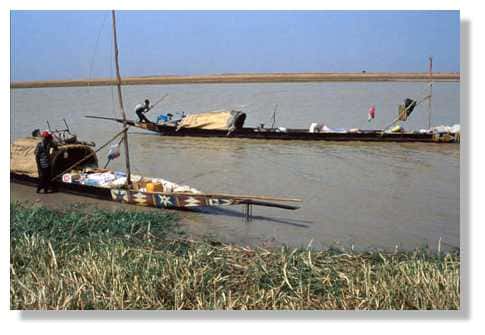 Commerçants ambulants sur le Diaka, ils vont de campements de pêche en campements de pêche, à bord de leur pirogue. Delta central, 14° nord, 4° ouest. Mali. © IRD/Yveline Poncet.