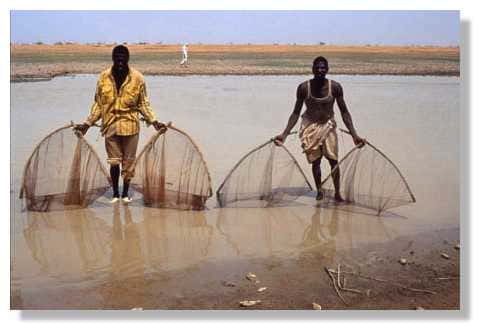 Pêcheurs montrant les filets : filets à deux mains. Utilisés pour les pêches d'épuisement de mares. Delta central, 14°nord, 4°ouest. Mali. © IRD/Yveline Poncet.
