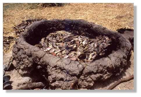 Four de fumage de poissons. Four de terre naturelle. La paille est répandue pour le brûlage, une technique différente de conservation du poisson. Delta central, 14°nord, 4°ouest. Mali. © IRD/Yveline Poncet.