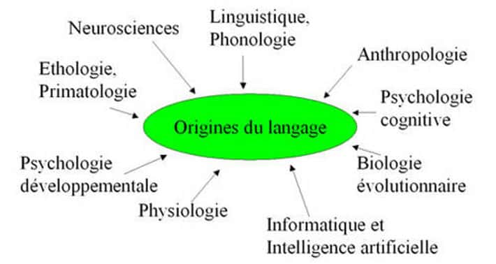 La question des origines du langage est intrinsèquement pluridisciplinaire. © DR