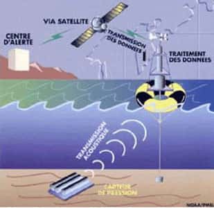 <br />Système d'enregistrement des tsunamis en eau profonde