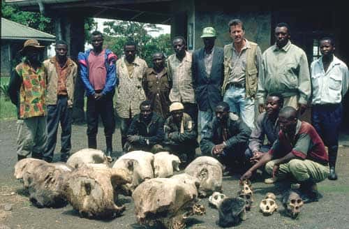 <br />D.R. Congo Kahuzi-Biega National Park Parks, World Heritage. Park staff with elephant and gorilla skulls<br />2000 © UNESCO/Ian Redmond/Born Free Foundation 