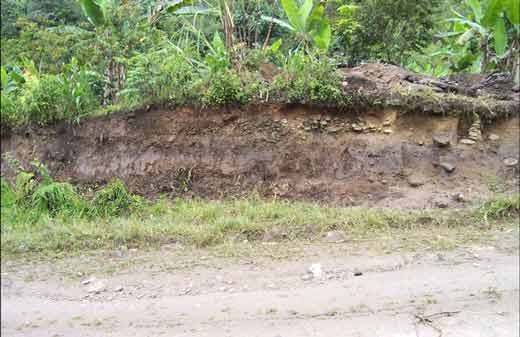 <br />Fig. 23 : Vue de la coupe de terrain dans lequel s'insère la structure fouillée sur le site de La Florida, province de Zamora-Chinchipe (Sud de l'Equateur). &copy; Jean Guffroy IRD