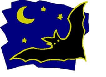 Logo <em>Nuit des chauves-souris</em>. 