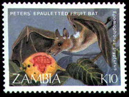 Timbre de Zambie.