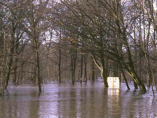 <br />Inondation de la forêt alluviale de Chadieu en 2003 &copy; CEPA-SE  Reproduction interdite sans autorisation de l'auteur<br />