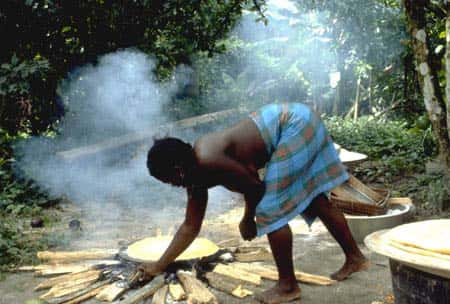 Cuisson du manioc ; <em>kassaba</em> sur une plaque. Village de Banafokondre, pays Saramaka, Suriname. © IRD, Michel Sauvain, tous droits de reproduction interdit 