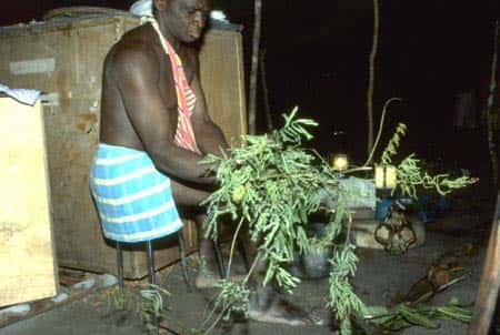 Préparation d'un remède d'invincibilité. Village de Banafokondre, pays Saramaka, Suriname.<br />© IRD, Michel Sauvain, tous droits de reproduction interdits