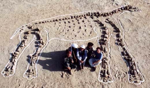 En 2000, la mission suivante permet de compléter largement l'échantillon disponible. Le squelette est à nouveau reconstitué, mais cette fois à même le sol et sous son profil droit. © 2000 MPFB