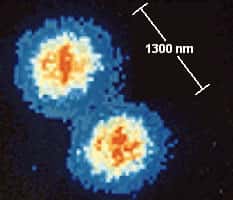 <br />Deux ions de baryum au repos contenant chacun un seul qubit sont maintenus séparés par un rayon laser refroidit près du zéro absolu afin d'étudier la durée du phénomène de décohérence. <br />&copy; A.White/J.O'Brien -  Tous droits de reproduction interdit 