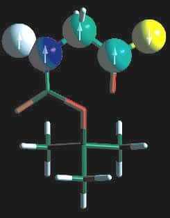 <br />“Ordinateur” moléculaire RMN constitué de 5 qubits. <br />&copy; S.J.Glaser/U.T.Munich - Tous droits de reproduction interdit 