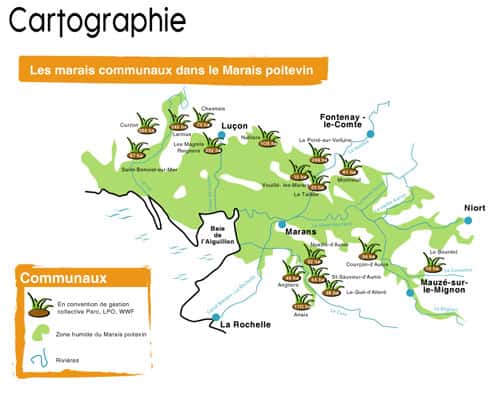 Les marais communaux du marais poitevin s'étendent de Niort à Luçon. © wwf.fr, Parc interrégional du marais poitevin - Tous droits de reproduction interdit