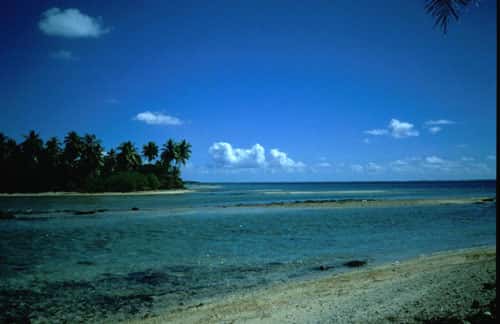 <br />Plage motu Polynésie <br />&copy; Catherine Gabrié WWF -  Tous droits de reproduction interdit