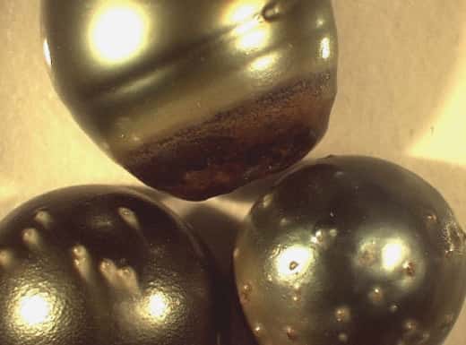 Perles à défauts en lumière normale. © Ifremer, tous droits de reproduction interdits
