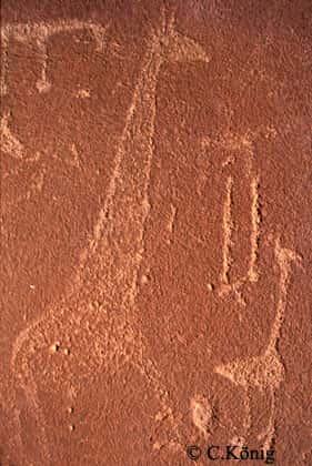Photo du magnifique grès rose porteur de pétroglyphes en Namibie.