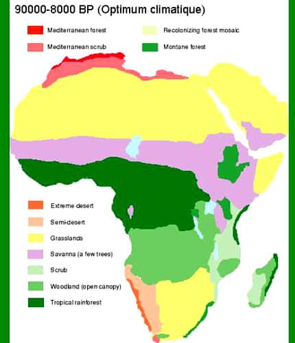 Evolutions récentes des écosystèmes maliens