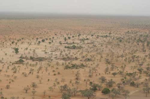 <br />L'homme et son environnement: quelle place pour les forêts naturelles ? (Benimatu, Pays Dogon, Mali - 2004)<br />&copy; Photo Philippe Birnbaum  -  Tous droits de reproduction réservés 