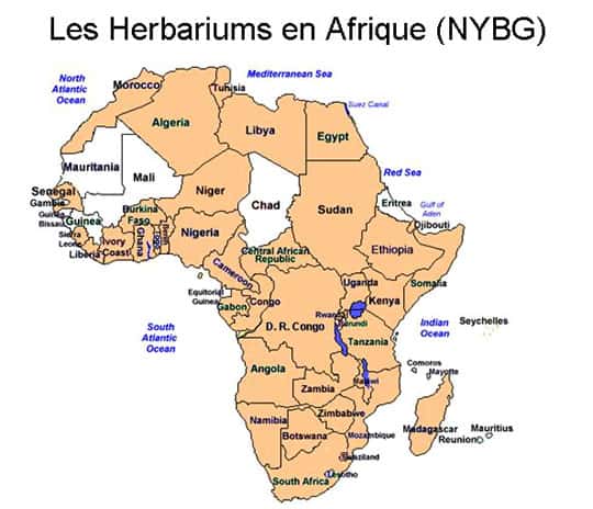 <br />Carte des herbariums officiels d'Afrique d'après le New York Botanical Garden<br />&copy; Tous droits de reproduction réservés