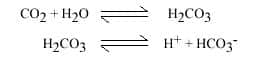 Équation de la dissolution du CO<sub style="text-align: justify;">2 </sub>dans l'eau.