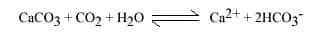 Équation de la dissolution de la calcite (CaCO<sub style="text-align: justify;">3</sub>).