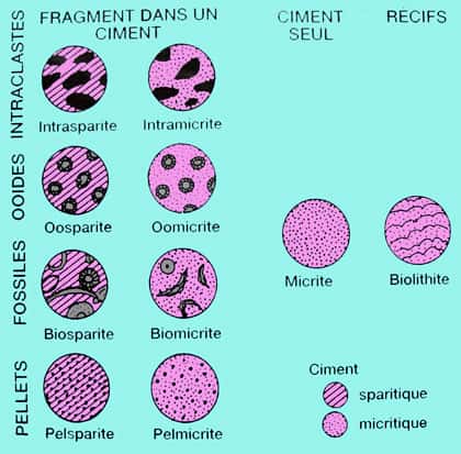 Schéma de classification des roches carbonatées.
