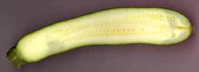 Le même fruit en coupe longitudinale. Le fruit est plein et les graines jeunes sont encore peu développées. La courgette est consommée à ce stade avant sa maturité. © B.Media, DR