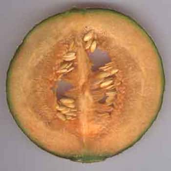 Coupe longitudinale dans un melon bien mûr. © B.Media, DR