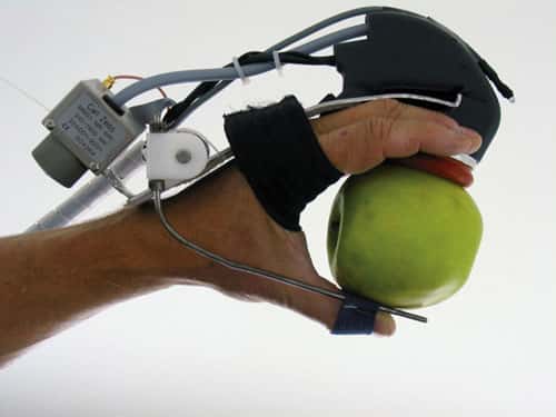 <br />Le GLOVE : un capteur portable intégrant un spectromètre proche infrarouge miniature pour la mesure de la teneur en sucre des fruits au champ &copy; Michel Crochon - Cemagref