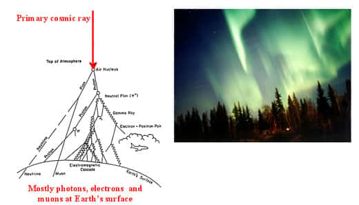  <br />Schéma des réactions induites dans l'atmosphère par des rayons cosmiques (http://crop.unl.edu/claes/CROP_Spectrum2005.ppt)