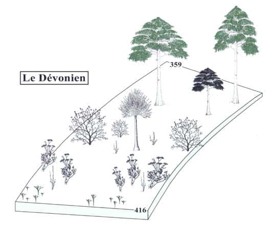 <br />Fig. 2 : Evolution des plantes terrestres au cours du Dévonien. 
