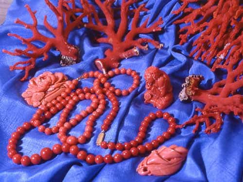 Figure 4 : corail rouge méditerranéen en branches nettoyées de leur cortex et en colliers, et pièces taillées dans du corail rose du Pacifique. © J.-G. Harmelin, tous droits réservés, reproduction et utilisation interdites 
