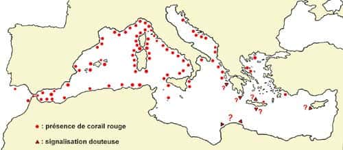 Figure 5 : distribution géographique du corail rouge en Méditerranée et en Atlantique, aux abords du détroit de Gibraltar. © J.-G. Harmelin, tous droits réservés, reproduction et utilisation interdites 