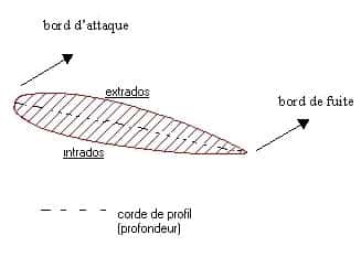 Profil d'une aile d'avion… ou d'oiseau ! © Reproduction et utilisation interdites 
