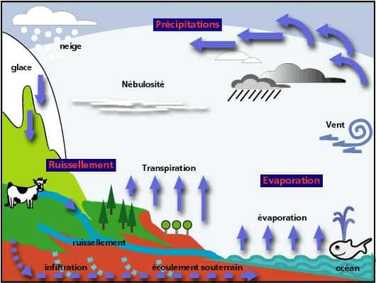 Schéma simple du cycle de l'eau. © DR, reproduction et utilisation interdites