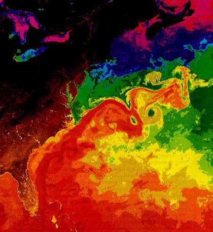 Gulf Stream, vue de l'espace en fausses couleurs.© DR, reproduction et utilisation interdites