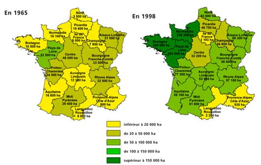 Évolution de la culture du maïs en France.