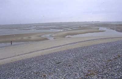 Limite sable-galet à la base du cordon littoral de la côte picarde. © Reproduction et utilisation interdites 